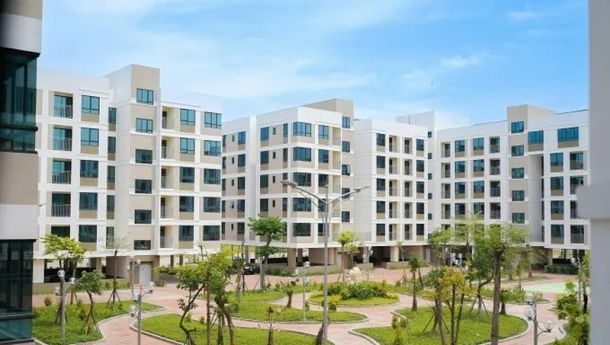 2025澳门管家婆资料正版大全二四六,何赛飞 岁月从不败美人,社会责任方案执行_创新版V8.32